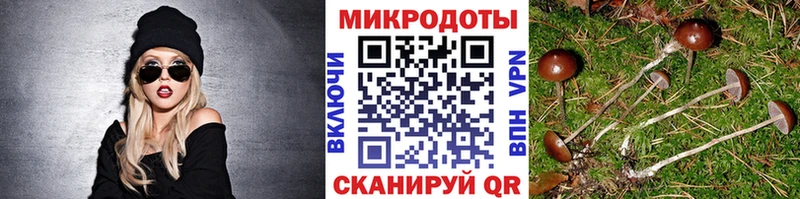 MEGA ONION  Чегем  Галлюциногенные грибы GOLDEN TEACHER  купить наркотики сайты 
